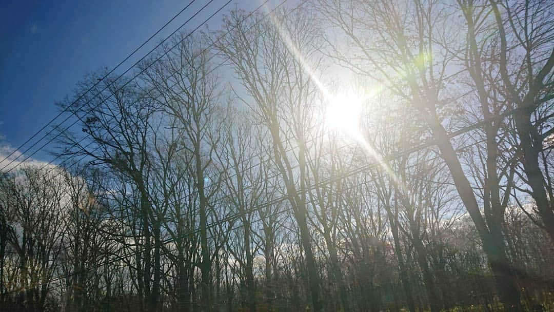大黒摩季さんのインスタグラム写真 - (大黒摩季Instagram)「光が好き : 広い空が好き : 澄んだ空気が好き : HOME北海道 : 心と体が潤う、魂が入れかわる :  #元気です北海道 #けっぱれ道産子 #待ってるよ北海道 #厚真町 #大黒摩季」11月17日 11時25分 - makiohguro