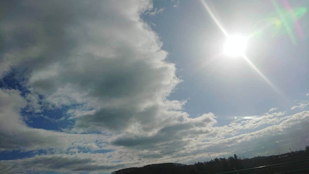 大黒摩季さんのインスタグラム写真 - (大黒摩季Instagram)「光が好き : 広い空が好き : 澄んだ空気が好き : HOME北海道 : 心と体が潤う、魂が入れかわる :  #元気です北海道 #けっぱれ道産子 #待ってるよ北海道 #厚真町 #大黒摩季」11月17日 11時25分 - makiohguro