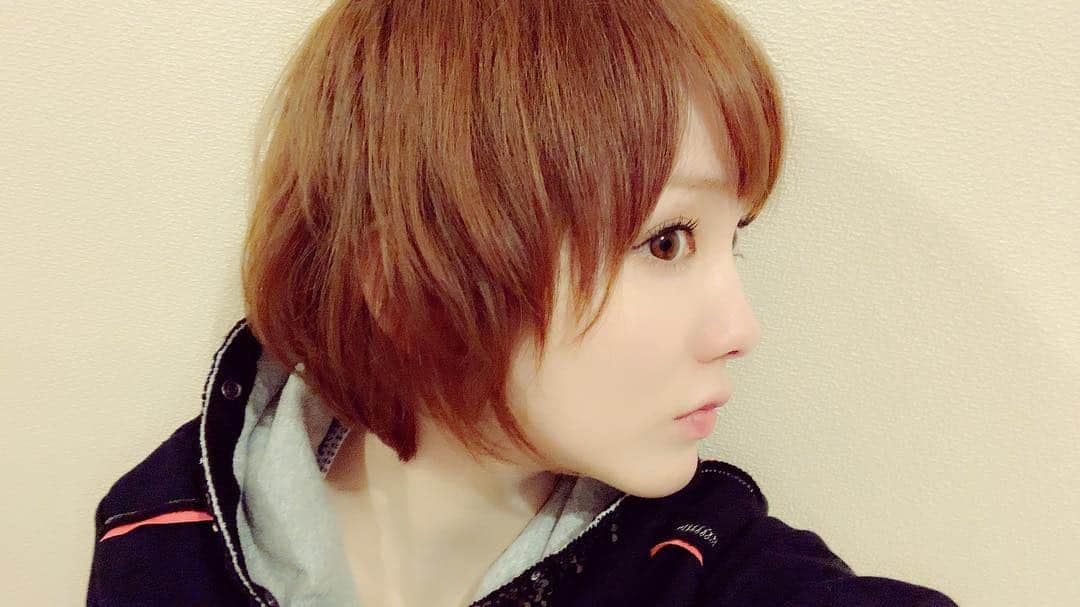 下田美咲さんのインスタグラム写真 - (下田美咲Instagram)「最近の髪の毛。 ふんわりショート(^-^) 伸ばしていく！  #ショートカット #大人ショート #ショートヘア #親子」11月17日 4時44分 - shimodamisaki815