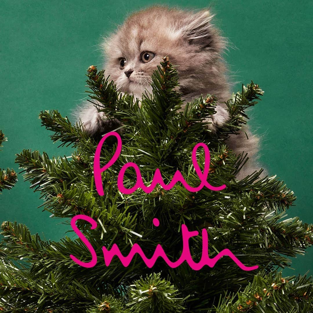 Paul Smith Japanさんのインスタグラム写真 - (Paul Smith JapanInstagram)「クリスマスギフトスタート。 2018年のクリスマスは「猫」が起用され、遊び心溢れるイメージを演出します。 . ポール・スミス いわく、 「猫はチャーミングで、遊び好きで、私たちを楽しませてくれます。彼らは伝統的にボーブルが大好きで、クリスマスツリーで遊びます。ポール・スミス アルバマール・ストリート ショップの外（ショップ外観を覆う、連結した楕円形のモチーフが特徴的な鋳鉄のパネルの一角）にも一匹います。」 . #PaulSmith #Christmas #cat #winter #クリスマス」11月17日 21時09分 - paulsmithjapan
