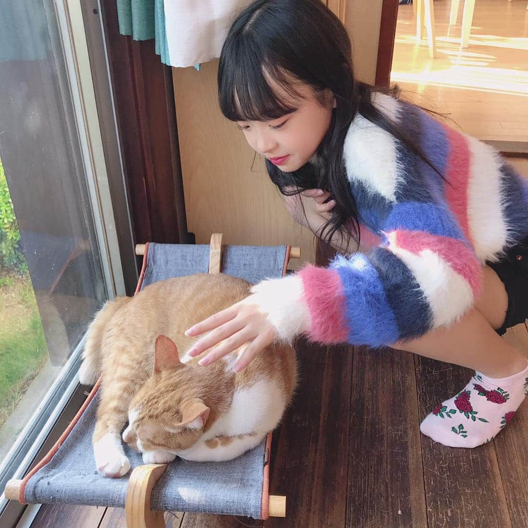 Hinataさんのインスタグラム写真 - (HinataInstagram)「. . 初の猫カフェ〜😽💓💓 . お陽さまにあたってポカポカ、猫ちゃんみんなお昼寝中〜☀️ 可愛すぎて癒される〜☺️ . ひなたも猫を飼ってるのでまた紹介するね〜💓 . カフェにも寄って、つけパンスープとスイーツ🍨 このスイーツ凄かった😳 煙が…もくもく… ストーリーにアップしとく〜✨✨ . 昨日のYouTubeみんな観てくれたかな？🧐 今日と明日も17時にアップするからチェックしてね〜✨ . . #クラージュキッズ  #Hinata #野々山ひなた #TikTok #事務所のTikTokも投稿した #YouTube #チャンネル登録してね #アメブロ #Hinataぼっこ #フォローしてね #猫カフェ #スイーツ #スープ #つけパン #煙がすごい #休日 #可愛すぎる猫 #くしゃみが止まらない #アレルギー #ブログも更新したよ」11月17日 14時56分 - hinachosugram