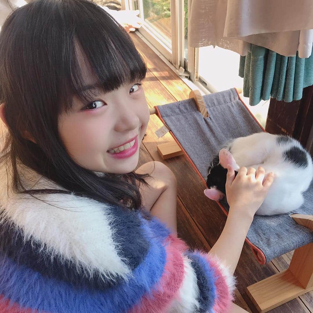 Hinataさんのインスタグラム写真 - (HinataInstagram)「. . 初の猫カフェ〜😽💓💓 . お陽さまにあたってポカポカ、猫ちゃんみんなお昼寝中〜☀️ 可愛すぎて癒される〜☺️ . ひなたも猫を飼ってるのでまた紹介するね〜💓 . カフェにも寄って、つけパンスープとスイーツ🍨 このスイーツ凄かった😳 煙が…もくもく… ストーリーにアップしとく〜✨✨ . 昨日のYouTubeみんな観てくれたかな？🧐 今日と明日も17時にアップするからチェックしてね〜✨ . . #クラージュキッズ  #Hinata #野々山ひなた #TikTok #事務所のTikTokも投稿した #YouTube #チャンネル登録してね #アメブロ #Hinataぼっこ #フォローしてね #猫カフェ #スイーツ #スープ #つけパン #煙がすごい #休日 #可愛すぎる猫 #くしゃみが止まらない #アレルギー #ブログも更新したよ」11月17日 14時56分 - hinachosugram