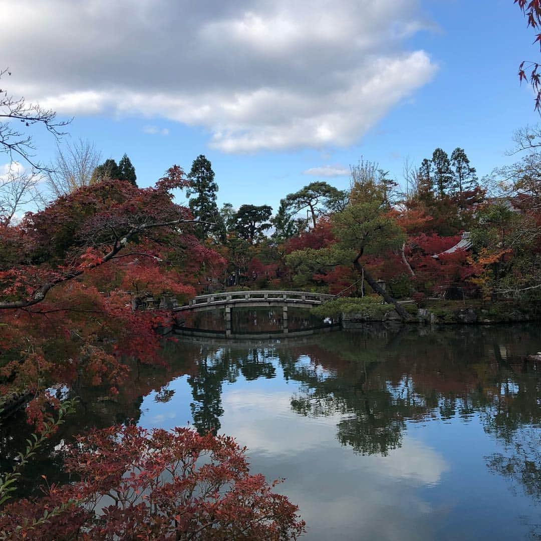 RIKACOさんのインスタグラム写真 - (RIKACOInstagram)「大人の遠足in京都😘 @crystalkayofficial  #京都旅行  #紅葉  #銀閣寺 #永観堂禅林寺  #ガールズトリップ #❤️ #rikaco_fashion  #ほのぼの」11月17日 18時45分 - rikaco_official