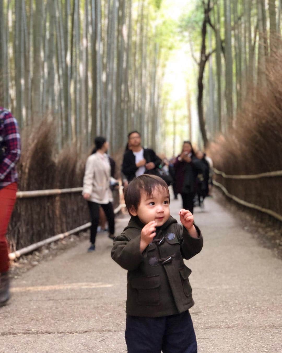 石塚錬さんのインスタグラム写真 - (石塚錬Instagram)「. 👦💬「ぼくの京都旅行 part2🏞🐟🎋」 . 👦💬「My Kyoto trip part2🏞🐟🎋」 . #渡月橋ではじめての鮎の塩焼き🐟 #ちょっと苦いけどおいしい😚 #嵐山で竹やぶブーン🎋🏃‍♂️ #Salt-grilled sweetfish for the first time at Togetsukyo🐟 #Little bitter but tasty😚 #Bamboo Bo Boa at Arashiyama🎋🏃‍♂️ . #石塚錬 #成長日記  #鮎 #sweetfish #은어 #阿玉 #ayu #嵐山竹林 #arashiyamabambooforest #嵐山 #arashiyama #渡月橋 #togetsukyo #ishizukaren #renishizuka #이시즈카렌」11月17日 19時00分 - ishizuka_ren