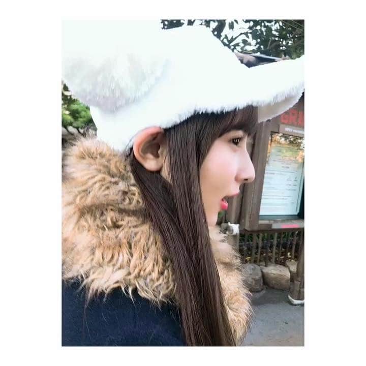 のインスタグラム：「「耳おっきめの彼女と夢の国デートなう」 につかってもいいですよ。  take a video by @jonishi_kei  #ディズニー#disneysea #disneyland」
