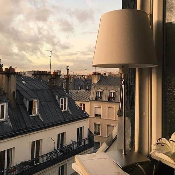 ステファンケリアンのインスタグラム：「PARISIAN -- VIEW  Enjoying the view on the Parisian roofs.  #pinterest #parisianview #parisianroofs」