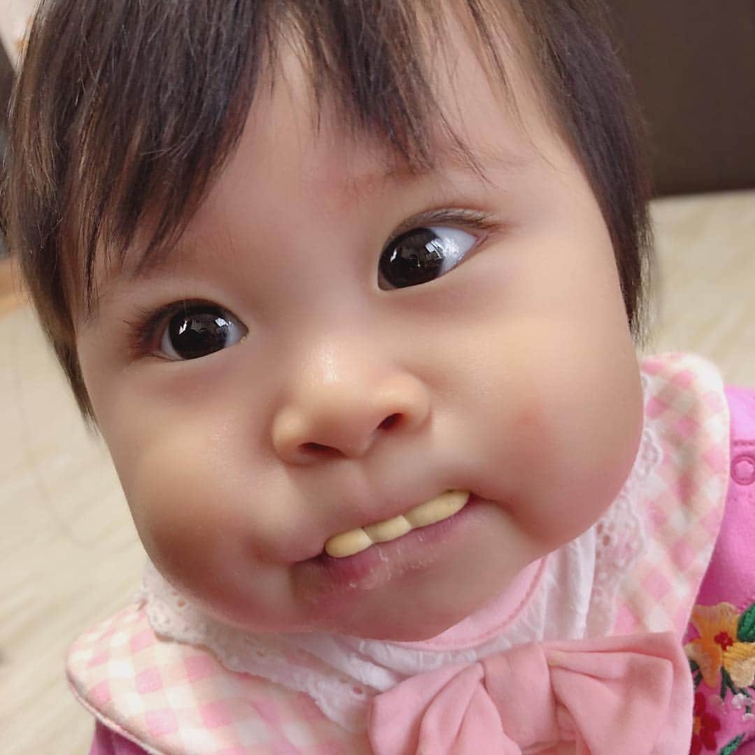 ままのてさんのインスタグラム写真 ままのてinstagram あれ Mamanokoカメラ部 Mamanokoギフトキャンペーン おやつのクッキーが出っ歯に見える 奇跡 さんまさん 出っ歯 Hinastagram1717 様の投稿です 可愛いお写真