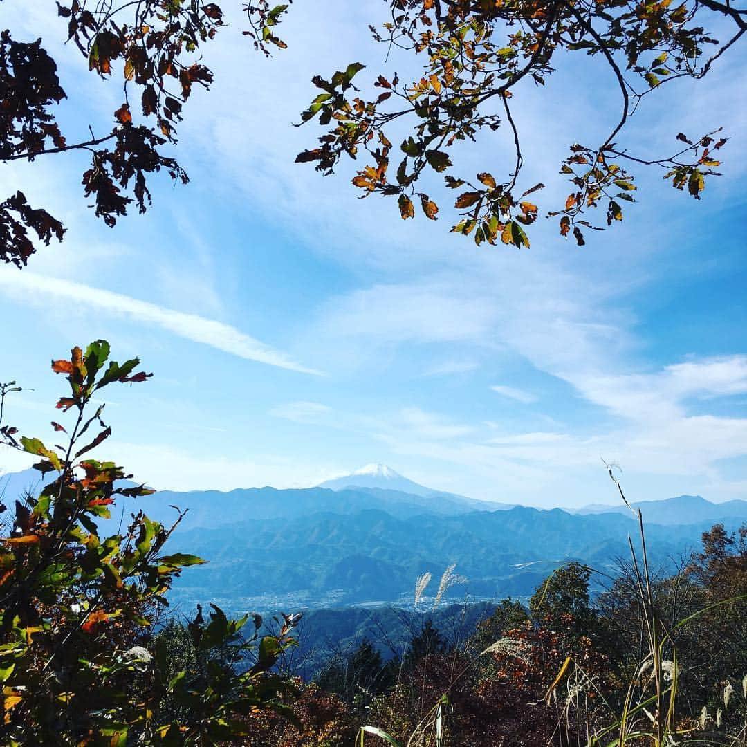 巻野わかばさんのインスタグラム写真 - (巻野わかばInstagram)「おはようございます🙋‍♀️ 陣馬山〜高尾山口〜高尾温泉♨️ 綺麗な景色や 紅葉を見ながらゆっくり登ってきました🤗🍁 今日の神戸マラソン、各地のマラソン大会に参加される方🏃‍♀️🏃‍♂️怪我なく笑顔でゴールされますように応援していますよ〜〜😆✊📣 皆さま楽しい一日を〜〜❤️ いつもありがとうございます🙌🌟🌟 #training#trekking#cwx#nike#nikeplus  #陣馬山 #高尾山 #トレッキング #ウォーキング #ナイキプラス」11月18日 8時46分 - _wakaba__