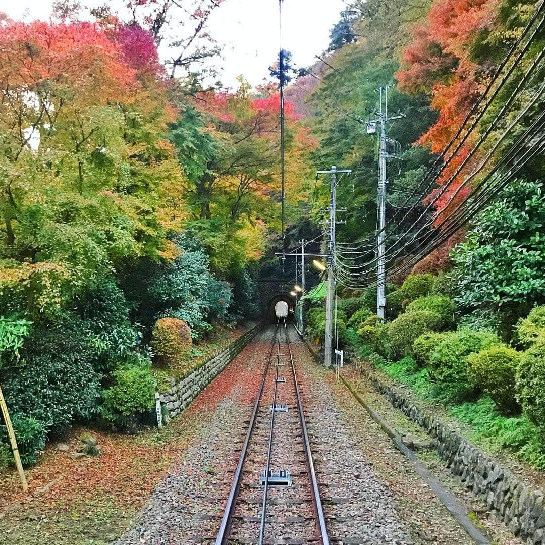 アンミカさんのインスタグラム写真 - (アンミカInstagram)「今年初の紅葉狩りへ🍁夫婦で高尾山へ⛰ 紅葉は一分咲きでしたが、そのグラデーションがとても美しい、今だけの季節を堪能❤️ 来週以降にまた登って、真っ赤な高尾山が見たい🍁🍁🍁 。 #麓はワンピだけでも暑かったのに山頂はかなり冷えます！ #行きの景色の銀杏も美しい🍂 #行きはリフトで帰りはケーブルカーに乗り景色を楽しみました #日本一の傾斜のケーブルカーの下りはかなり刺激的❤️ #紅葉狩り投稿続きます #高尾山 #紅葉狩り #夫婦登山 @theodoremillertokyo」11月18日 11時04分 - ahnmikaofficial