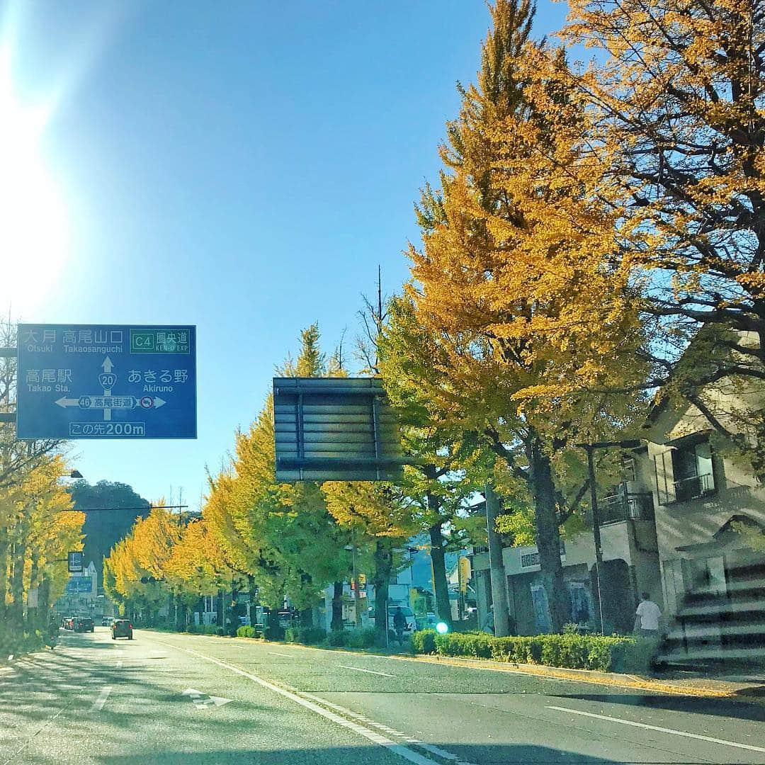 アンミカさんのインスタグラム写真 - (アンミカInstagram)「今年初の紅葉狩りへ🍁夫婦で高尾山へ⛰ 紅葉は一分咲きでしたが、そのグラデーションがとても美しい、今だけの季節を堪能❤️ 来週以降にまた登って、真っ赤な高尾山が見たい🍁🍁🍁 。 #麓はワンピだけでも暑かったのに山頂はかなり冷えます！ #行きの景色の銀杏も美しい🍂 #行きはリフトで帰りはケーブルカーに乗り景色を楽しみました #日本一の傾斜のケーブルカーの下りはかなり刺激的❤️ #紅葉狩り投稿続きます #高尾山 #紅葉狩り #夫婦登山 @theodoremillertokyo」11月18日 11時04分 - ahnmikaofficial