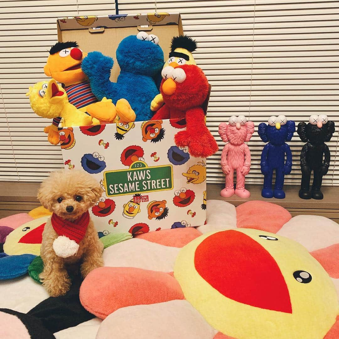 megbabyさんのインスタグラム写真 - (megbabyInstagram)「クリスマスが来たような気分🎄🎁 🥺🍪❤️🧡💛💚💙 #sesamestreet #kaws #uniqlo #だいすきの詰め合わせ🎁 @queen_of_pablo 🧸 thank you @uniqlo 💘」11月19日 18時47分 - _megbaby_