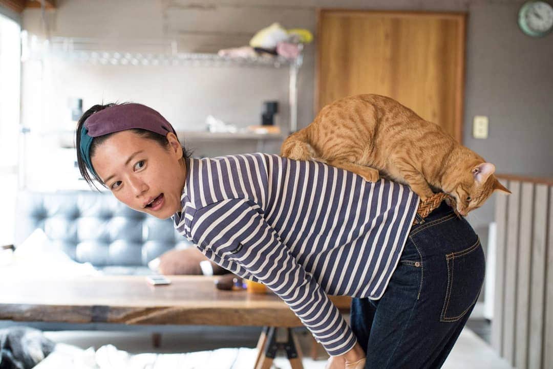 甲斐麻美さんのインスタグラム写真 - (甲斐麻美Instagram)「あれ？ サンちゃんにベルト噛まれとる(笑)  #ブログ更新しました #cat #catstagram #catandme #元保護猫 #ねこ #ねこ部 #ねことわたし」11月19日 19時07分 - kaico_asami
