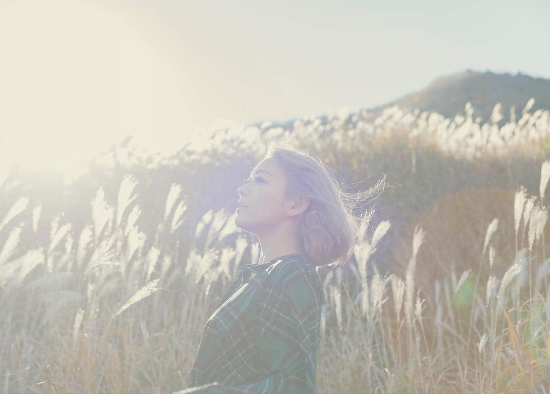 西野翔のインスタグラム：「📷お耽美写真家Kay  #portrait #すすき #susuki #naturephotography #moodygrams #artstagram  #instagood #instalike #instagramjapan #japan #japanesegirl #model #西野翔  #nishinoshow」
