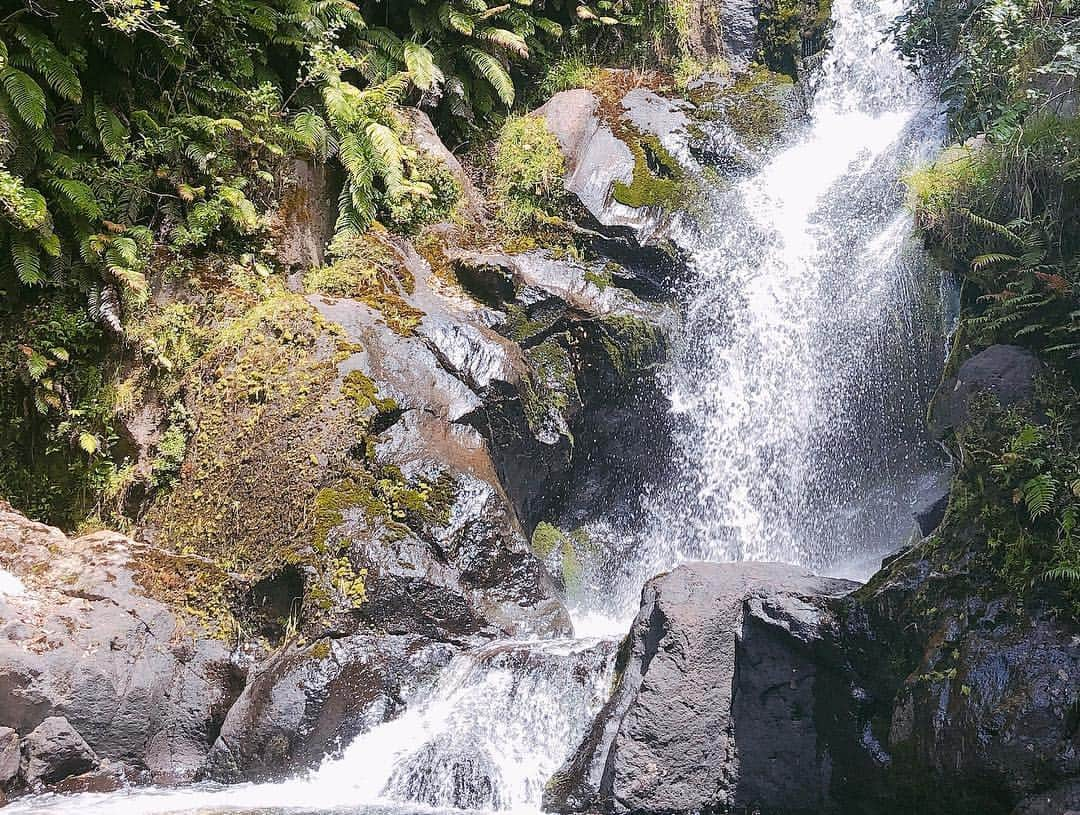 徳永千奈美さんのインスタグラム写真 - (徳永千奈美Instagram)「Waterfall ⛰🌲🌿🌈😌 Breath and relax.  #nature #waterfall  #breath #relax #travelling  #happy  #life」11月19日 12時08分 - chinami.tokunaga