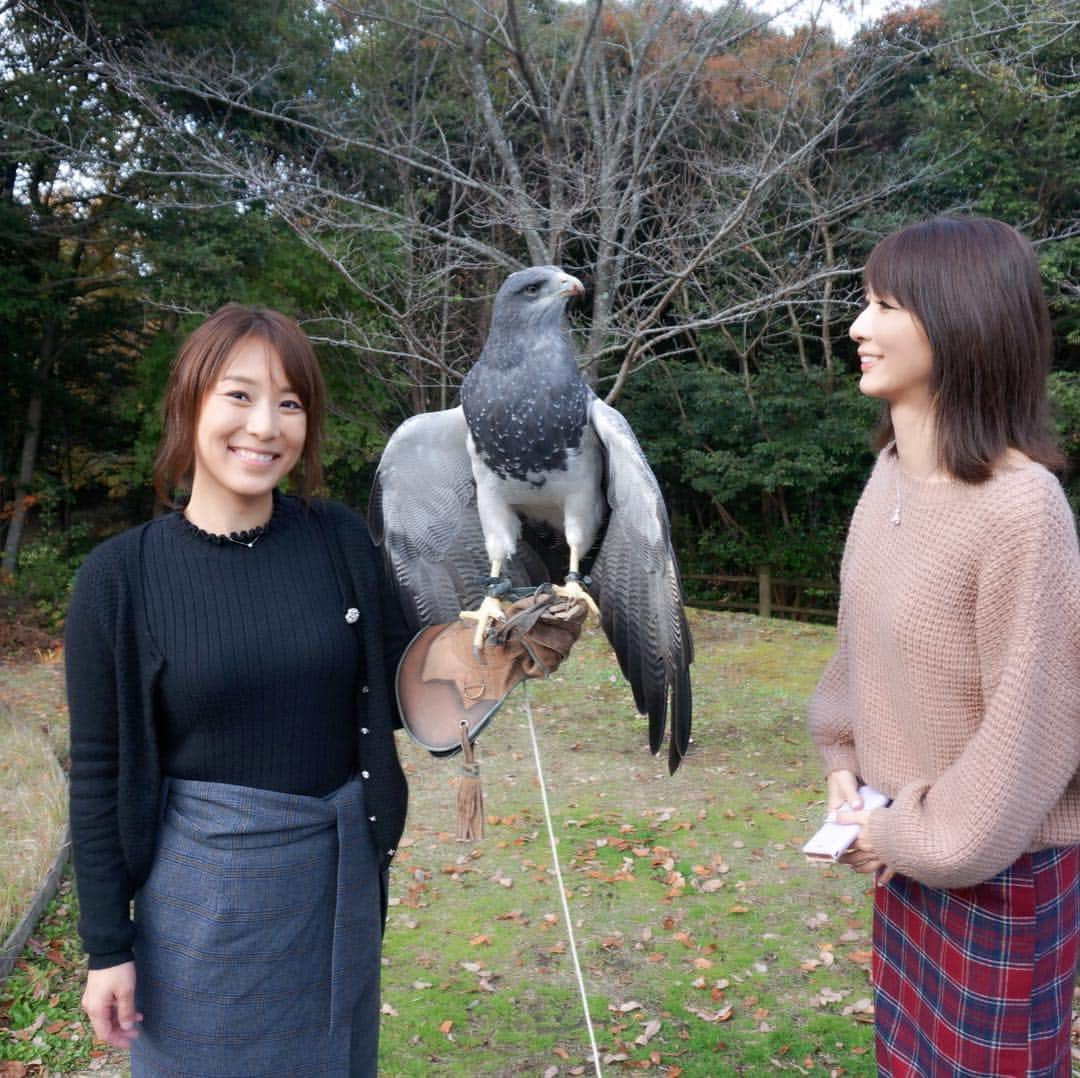 中谷あすみさんのインスタグラム写真 - (中谷あすみInstagram)「大きな鷹のワシノスリと記念写真🦅 他にもフクロウとかたくさんの鳥と触れ合いました😂💞 楽しすぎた✨ #ワシノスリ#オニオオハシ#ギニアエボシドリ#フクロウ#ペンギン#松江フォーゲルパーク#bird#鷹#島根県#ペンギン#フラミンゴ」11月19日 20時27分 - asumi_naa