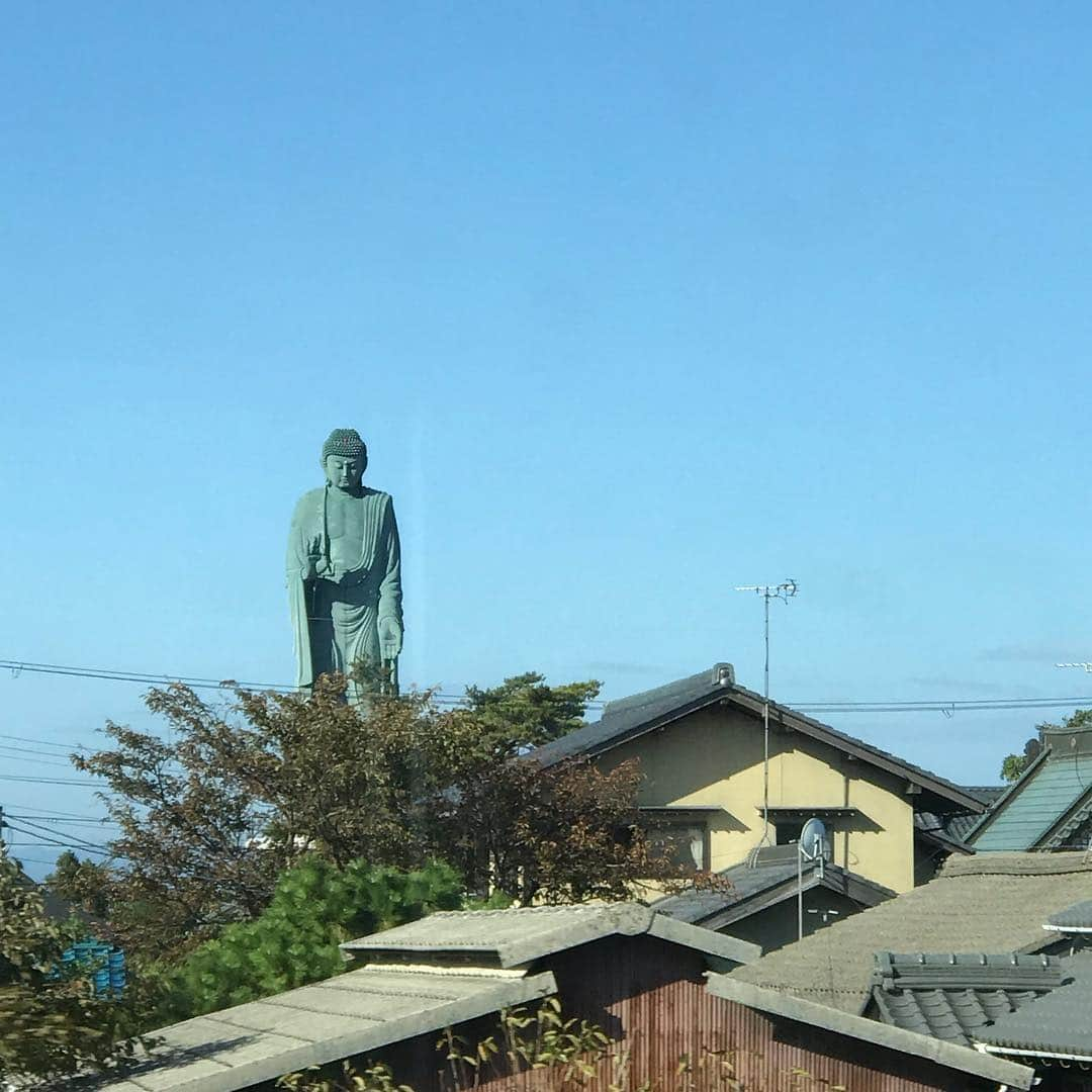 原田良也さんのインスタグラム写真 - (原田良也Instagram)「滋賀スタンダードその121  北の方行くと、巨大な仏像や地蔵が多し。  なぜだろうね。  これは長浜市の琵琶湖の近くだよ。  木之本にも大きな地蔵あるよね。  確か高島市にもあったよね。  なぜだろうね。  車で走ってる時見つけたらかなり怖いよね。  #滋賀スタンダード #滋賀県 #巨大仏像 #巨大地蔵」11月20日 10時00分 - irasshassee