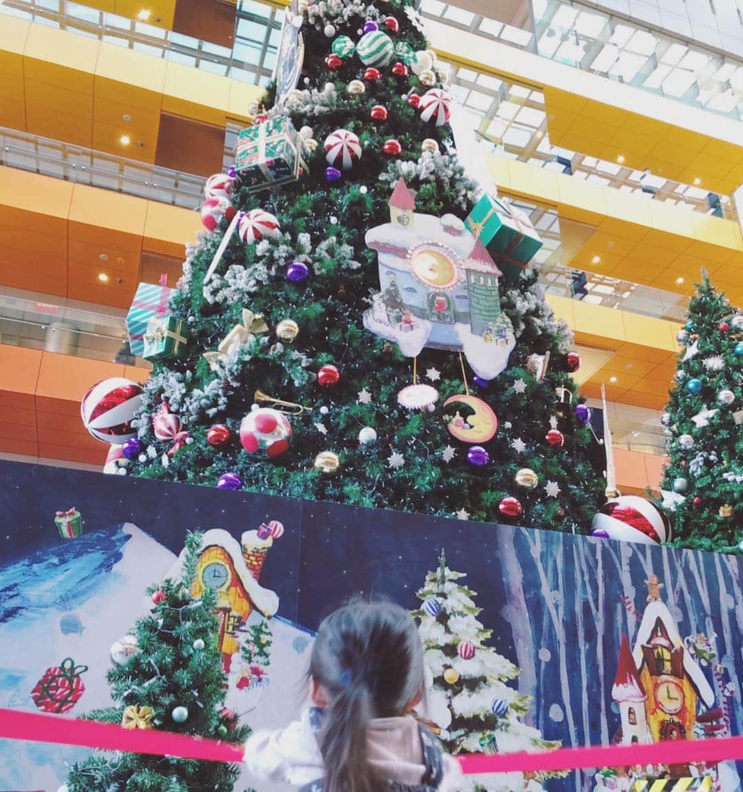 安めぐみさんのインスタグラム写真 - (安めぐみInstagram)「先日、お出かけ先で可愛いツリーが🎄 ずっと見つめていました☺️✨ #クリスマスツリー」11月20日 15時28分 - yasu_megumi_official