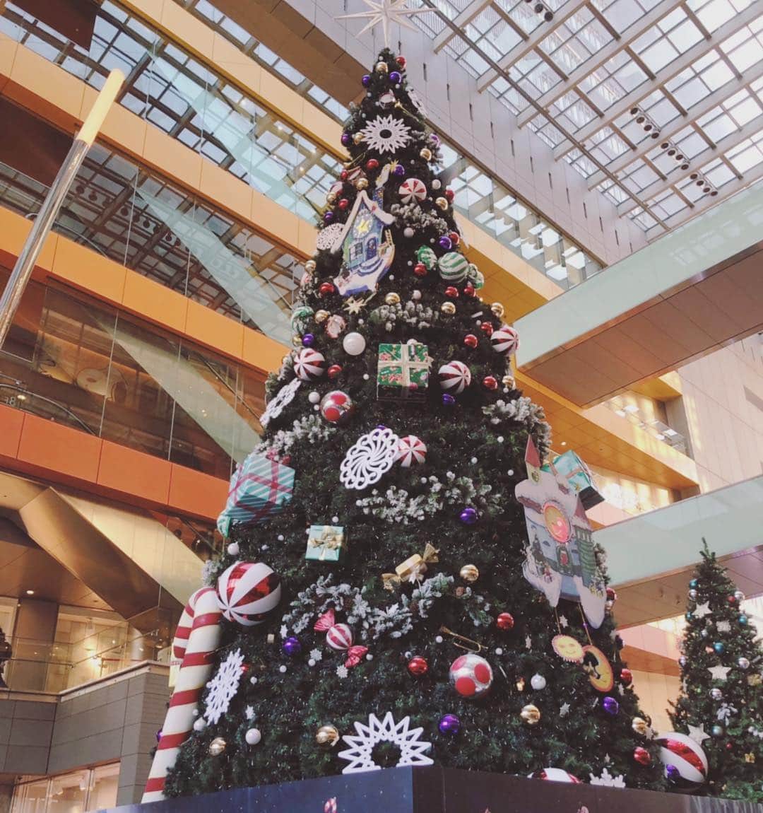 安めぐみさんのインスタグラム写真 - (安めぐみInstagram)「先日、お出かけ先で可愛いツリーが🎄 ずっと見つめていました☺️✨ #クリスマスツリー」11月20日 15時28分 - yasu_megumi_official