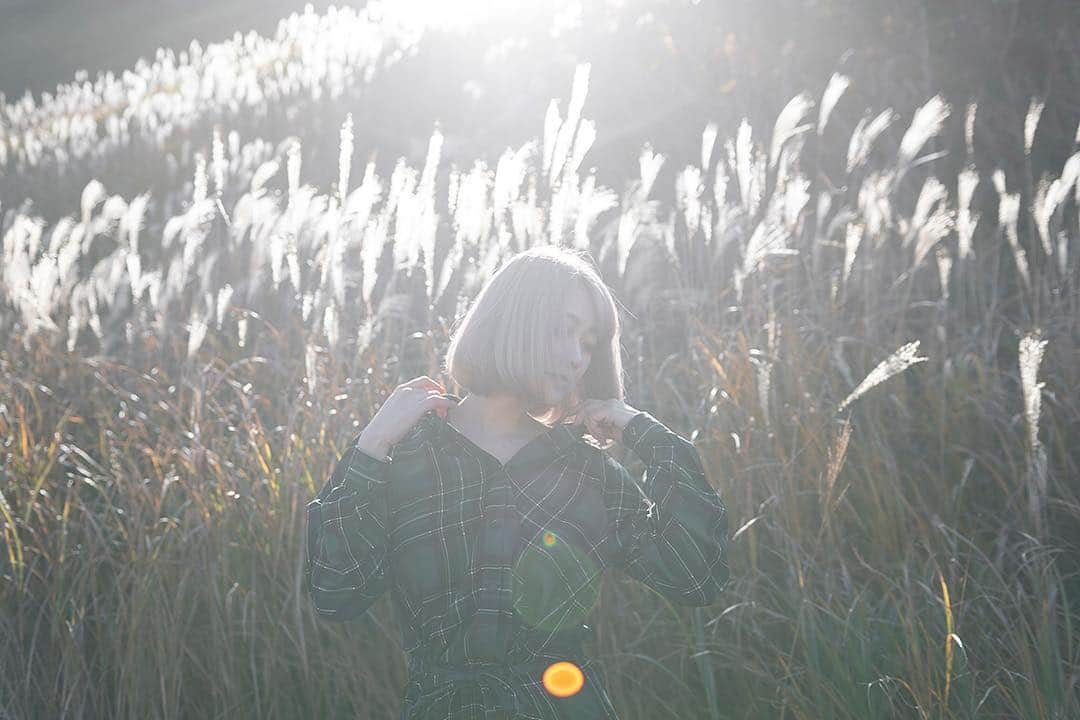 西野翔さんのインスタグラム写真 - (西野翔Instagram)「📷お耽美写真家Kay  #portrait #すすき #susuki #naturephotography #moodygrams #artstagram  #instagood #instalike #instagramjapan #japan #japanesegirl #model #西野翔  #nishinoshow」11月20日 19時47分 - nishino_show