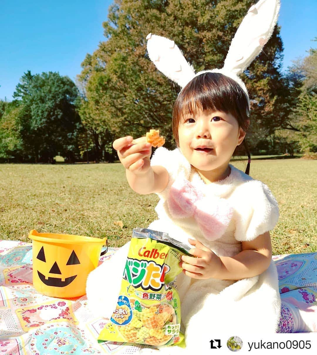 カルビー サッポロポテトのインスタグラム：「今日はベジたべるハロウィンフォトコンテストの当選者様のお写真を紹介いたします📷, , #うさぎ 🐇と#ベジたべる って相性良いと思うんですよね～✨, ベジたべるはにんじん🥕も入っておりますよ❕, , #ジャックオランタン 🎃のバケツを持ったうさちゃん🐰に、「どうぞ～」オススメして頂いて、担当者は嬉しいです～💕, , #かぼちゃ 🎃や#にんじん 🥕含む、#緑黄色野菜 が入ったベジたべるを、今後とも美味しく召し上がって下さいませ～‼️, ,  #Repost @yukano0905 (@get_repost) ・・・ ベジたべるおひとつどうぞ～🐰💓 ピクニックのおやつはベジたべる☺️💕 #ベジたべる_ハロウィン #ピクニック」