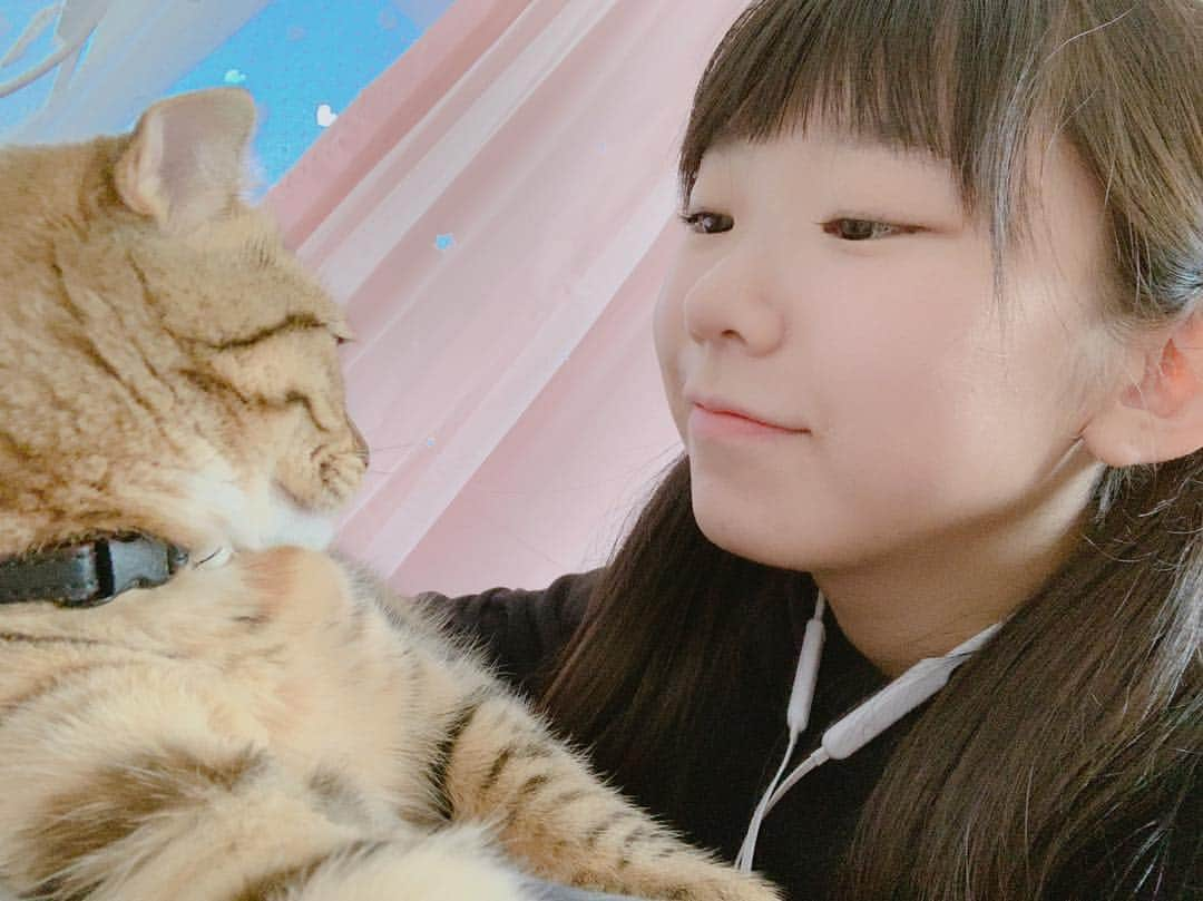 長澤茉里奈さんのインスタグラム写真 - (長澤茉里奈Instagram)「かわいいねえ #ぽぽすたぐらむ🐈  #君がいなければ生きていけない」12月5日 18時01分 - marinanagasawa1008