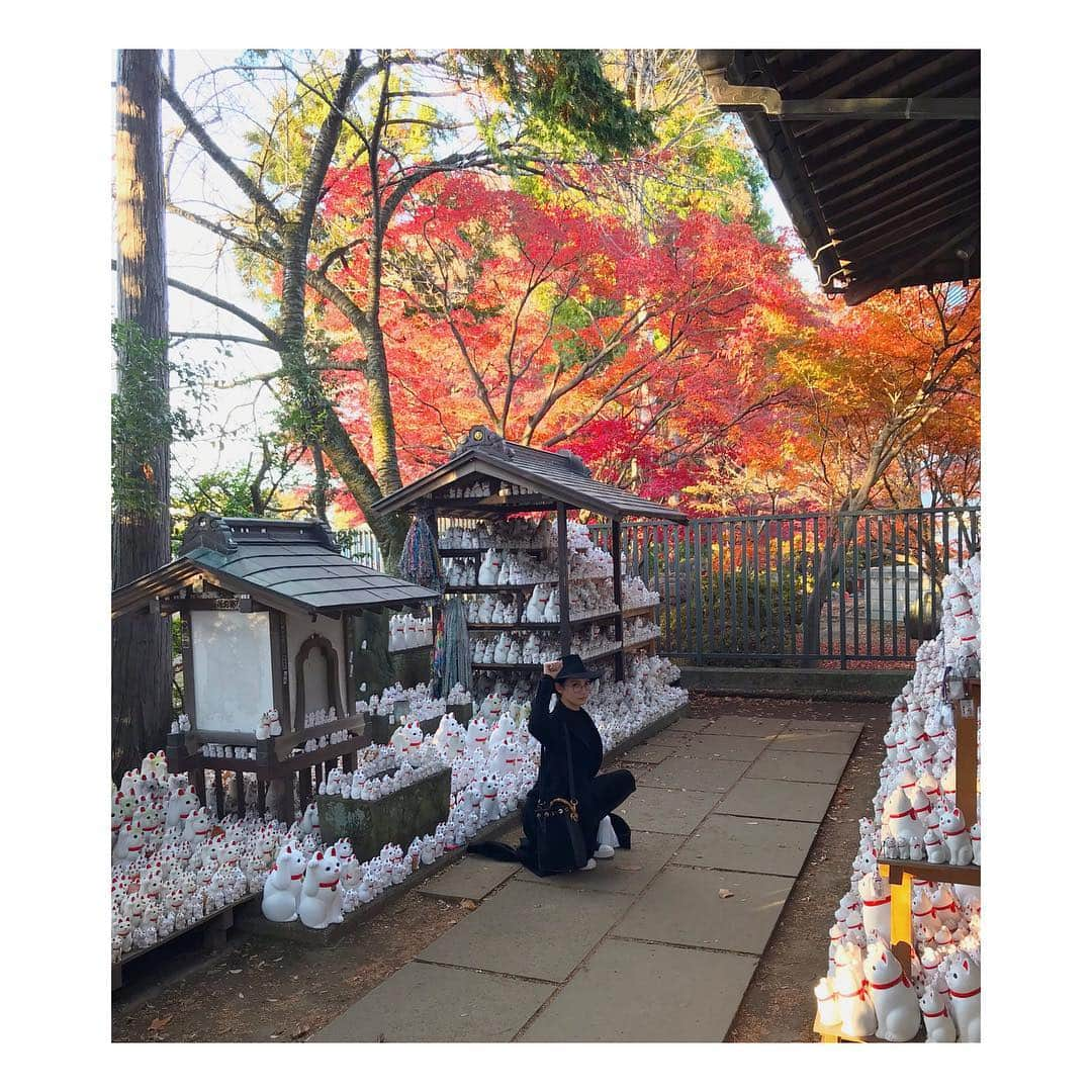 菜々緒さんのインスタグラム写真 - (菜々緒Instagram)「#豪徳寺  #おんな城主直虎 #たまちゃん」12月5日 14時02分 - nanao_official