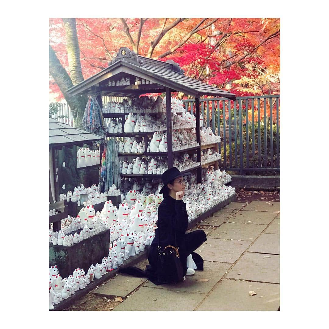 菜々緒さんのインスタグラム写真 - (菜々緒Instagram)「#豪徳寺  #おんな城主直虎 #たまちゃん」12月5日 14時02分 - nanao_official