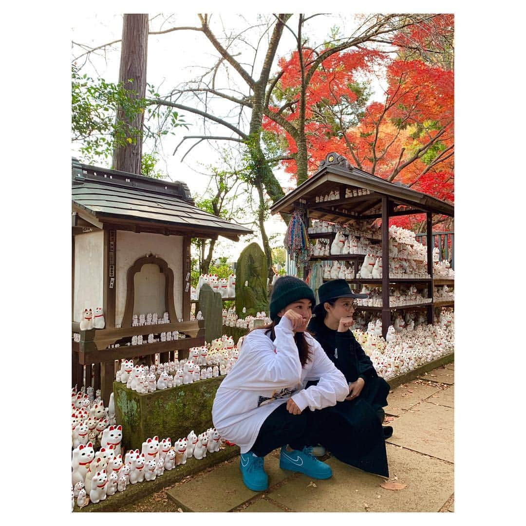 菜々緒さんのインスタグラム写真 - (菜々緒Instagram)「#豪徳寺  #おんな城主直虎 #たまちゃん」12月5日 14時02分 - nanao_official