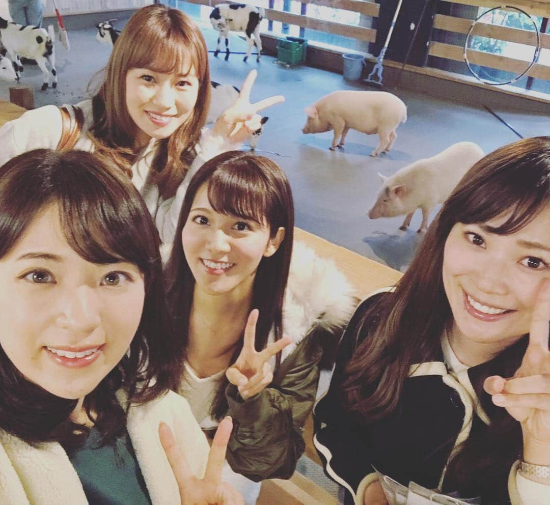 山本愛子さんのインスタグラム写真 - (山本愛子Instagram)「昨日はこのメンバーで、「大手町牧場」へ！  ここは東京駅からすぐ近くのビルの中！ 信じられます！？笑  アルパカや山羊や牛など様々な動物たちが出迎えてくれます♥ 餌やりもできるよ✨  も〜可愛くて可愛くて癒やされた…♥ もともと磯道はるかちゃんが教えてくれた場所で、はるかちゃんも一緒に行くはずだったけどお仕事で来られなくなっちゃったので、今度ははるかちゃんも一緒に来たいな〜(*´︶`*)❀ #大井町 #大手町牧場 #ジャージー牛 #アルパカ #スワイプしてね」11月21日 8時21分 - aikoyade1219