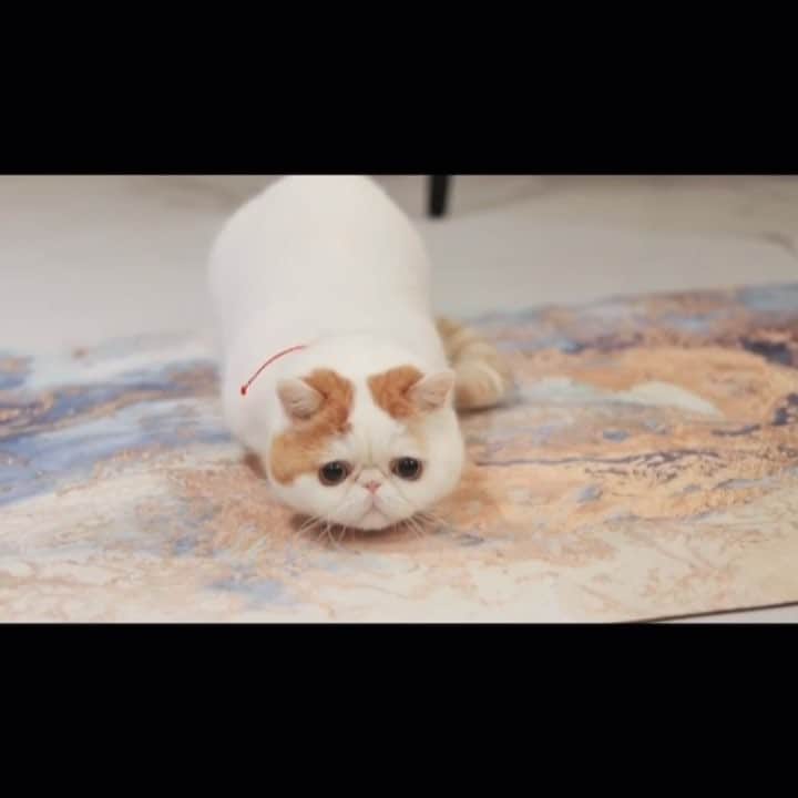 のインスタグラム