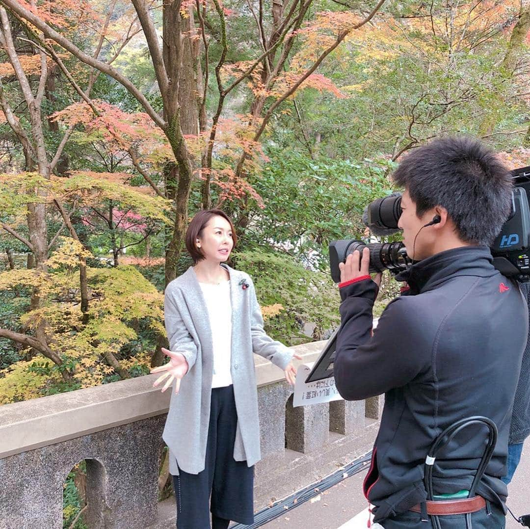 宮崎宣子のインスタグラム