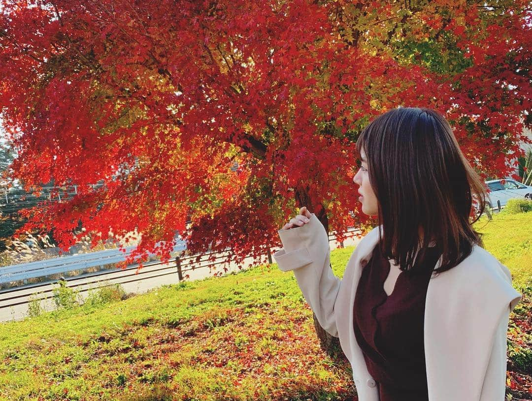 鷹野日南さんのインスタグラム写真 - (鷹野日南Instagram)「紅葉の季節ももうすぐ終わってしまう😢🍁 . . . 悲しいなあ…と思いつつまだ秋は終わらないでほしいとうい気持ちを込めて、秋っぽいカラーに髪の毛もチェンジしてみたよん。🍠 . . . . . いつもお世話になってる安定の @mmicchicoo さんにお願いしました🌈 . . 頑張って髪の毛伸ばしてるけど夏にブリーチして赤にした時にかなり傷んで大変なことになってたから少し毛先切ってもらった（；＿；） . . . 頑張ってケアしてもーっとのばすよ🥶🥶🖐🏻 . . . #lovll #hair #美容室 #salon #紅葉 #軽井沢 #秋カラー  #秋コーデ #秋大好きマン #셀스타그램 #셀피 #맞팔 #대일리룩 #뷰티스타그램 #療癒」11月21日 20時09分 - hinachan.3