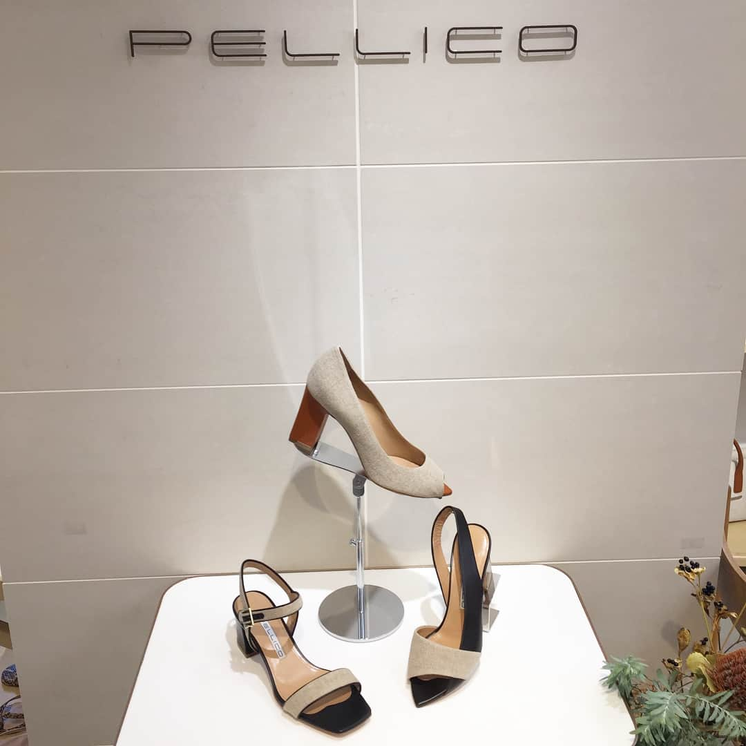 武藤京子さんのインスタグラム写真 - (武藤京子Instagram)「* @pellico_japan  #pellicosunny  2019 SS 展示会に行ってきました * 1・2・3枚目 展示会で1番人気という 「CANVAS」のサンダルを試着 左右別の色を履いてます😂 * 5・6枚目  ペリーコサニーのスリッポン パイソン柄をオーダー * 素敵な場所に連れて行ってくれそうな ウキウキするような靴が いっぱいで 足2本じゃ足りない😎 * #pellico  #ペリーコ  #ペリーコサニー  #ブログ更新しました  #プロフィールにブログのリンク貼ってます」11月21日 22時02分 - kyokomuto0628