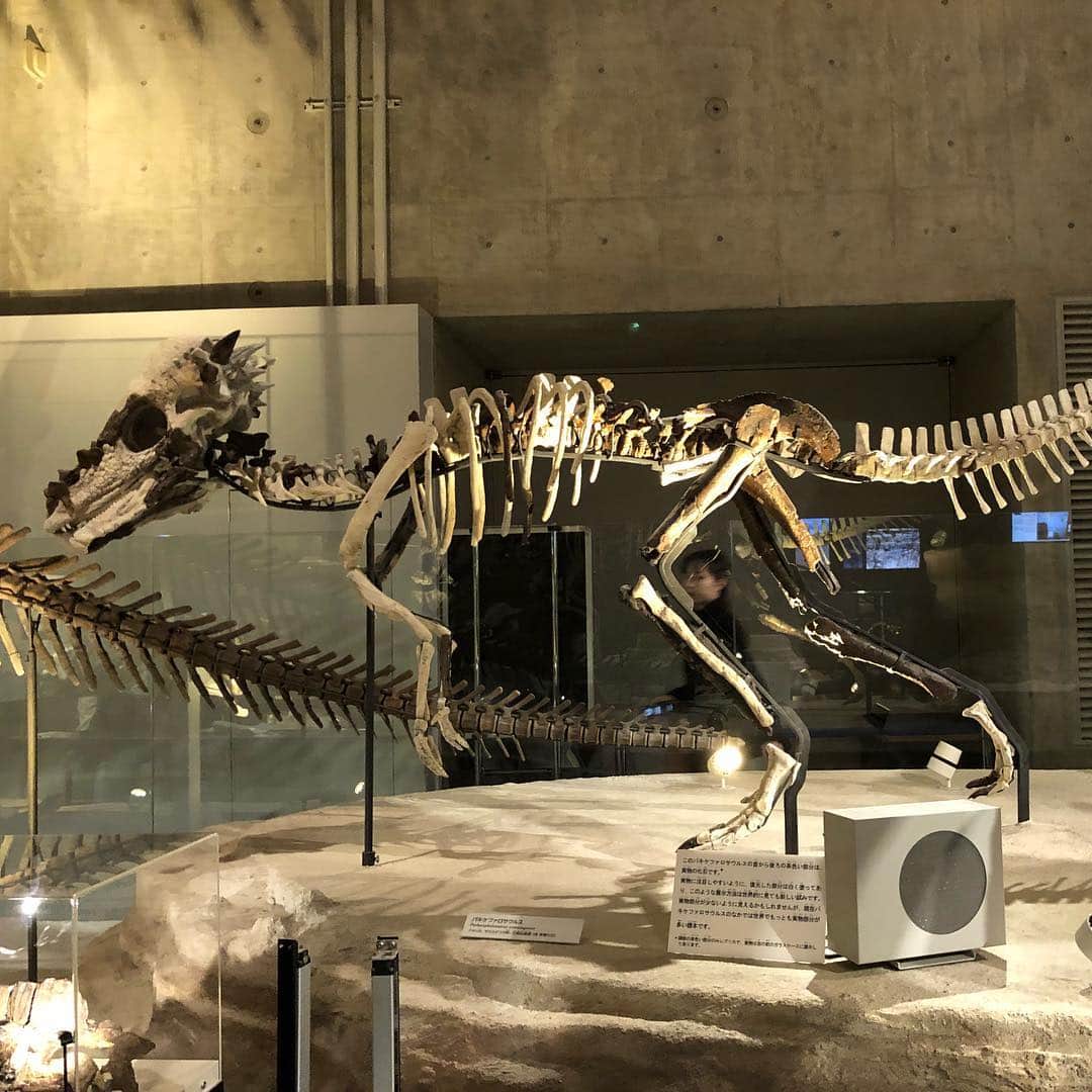 諸岡なほ子さんのインスタグラム写真 - (諸岡なほ子Instagram)「先日、上野動物園でシャンシャンとシンシンがまだ同じお部屋にいるところを見た後は、そのまま国立科学博物館へはしご。目指すは恐竜。  1枚目は、ドラえもんの映画に出てくるピー助こと、フタバスズキリュウ。エラスモサウルス科。この、ヒレみたいな前足の形、長い首、かわいい。 2枚目は、息子と図鑑で覚えたばかりだったから見つけた瞬間にふたりしてテンション上がったかっぱ頭、パキケファロサウルス。 ティラノサウルスやアパトサウルスやトリケラトプスやデイノニクスやミクロラプトル…。いつのまにかたくさんの恐竜の名前を覚えた息子、と私（笑。 今の２人の夢は、福井県立恐竜博物館へ行くことと、国立科学博物館で真鍋真さんに偶然会って恐竜のお話を聞くこと。というのも、息子と開く恐竜の本の多くに、「監修 真鍋真（国立科学博物館）」と書かれているから。我が家ではもうほとんどアイドルのような、神のような、憧れの名前。 通いつめれば叶うかな？ おちび向けのワークショップとかないのかなー。  あ、最後の方の2枚は、上野動物園にて。パンダを見るために1時間並んで疲れかけたところにイチゴ牛乳投入でご機嫌回復の図と、日本最古のモノレールの中で。4歳男児とのデートは、前より大変さは減って共有できることは増えて、なんだかすごく楽しい！  #国立科学博物館 #フタバスズキリュウ #パキケファロサウルス #真鍋真 #上野動物園 #日本最古のモノレール #futabasaurus #pachycephalosaurus #諸岡なほ子 #4歳男児」11月21日 23時39分 - morookanahoko