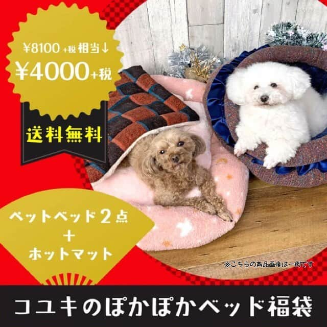 iDog&iCatさんのインスタグラム写真 - (iDog&iCatInstagram)「👗✨ ・ 只今、idog&icatでは今すぐ使える秋冬ウェア&ホットマットを詰め込んだスペシャルな福袋を販売中★ その名も「コマメの太っ腹ぬくぬく福袋」✨ 通常価格よりお得なお値段&送料無料で、まさに太っ腹な福袋となっております！！！ ・ あったかベッド&マットの福袋、「コユキのぽかぽかベッド福袋」も同時販売中！ こちらもお得なセットとなっております！ ・ ぜひこの機会をお見逃しなく😼✨ ・ https://www.idog.jp/ic/idog-icat-promotion-bonuspack/ * #idogicat #犬の服idog #idog #icat #ペットウェア #福袋 #犬 #いぬ #ペットベッド」11月22日 12時04分 - idogicat