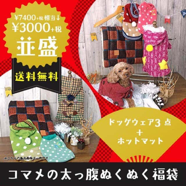 iDog&iCatさんのインスタグラム写真 - (iDog&iCatInstagram)「👗✨ ・ 只今、idog&icatでは今すぐ使える秋冬ウェア&ホットマットを詰め込んだスペシャルな福袋を販売中★ その名も「コマメの太っ腹ぬくぬく福袋」✨ 通常価格よりお得なお値段&送料無料で、まさに太っ腹な福袋となっております！！！ ・ あったかベッド&マットの福袋、「コユキのぽかぽかベッド福袋」も同時販売中！ こちらもお得なセットとなっております！ ・ ぜひこの機会をお見逃しなく😼✨ ・ https://www.idog.jp/ic/idog-icat-promotion-bonuspack/ * #idogicat #犬の服idog #idog #icat #ペットウェア #福袋 #犬 #いぬ #ペットベッド」11月22日 12時04分 - idogicat