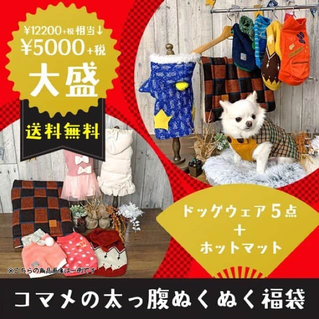 iDog&iCatさんのインスタグラム写真 - (iDog&iCatInstagram)「👗✨ ・ 只今、idog&icatでは今すぐ使える秋冬ウェア&ホットマットを詰め込んだスペシャルな福袋を販売中★ その名も「コマメの太っ腹ぬくぬく福袋」✨ 通常価格よりお得なお値段&送料無料で、まさに太っ腹な福袋となっております！！！ ・ あったかベッド&マットの福袋、「コユキのぽかぽかベッド福袋」も同時販売中！ こちらもお得なセットとなっております！ ・ ぜひこの機会をお見逃しなく😼✨ ・ https://www.idog.jp/ic/idog-icat-promotion-bonuspack/ * #idogicat #犬の服idog #idog #icat #ペットウェア #福袋 #犬 #いぬ #ペットベッド」11月22日 12時04分 - idogicat