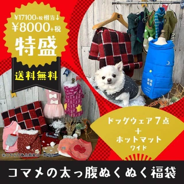 iDog&iCatさんのインスタグラム写真 - (iDog&iCatInstagram)「👗✨ ・ 只今、idog&icatでは今すぐ使える秋冬ウェア&ホットマットを詰め込んだスペシャルな福袋を販売中★ その名も「コマメの太っ腹ぬくぬく福袋」✨ 通常価格よりお得なお値段&送料無料で、まさに太っ腹な福袋となっております！！！ ・ あったかベッド&マットの福袋、「コユキのぽかぽかベッド福袋」も同時販売中！ こちらもお得なセットとなっております！ ・ ぜひこの機会をお見逃しなく😼✨ ・ https://www.idog.jp/ic/idog-icat-promotion-bonuspack/ * #idogicat #犬の服idog #idog #icat #ペットウェア #福袋 #犬 #いぬ #ペットベッド」11月22日 12時04分 - idogicat