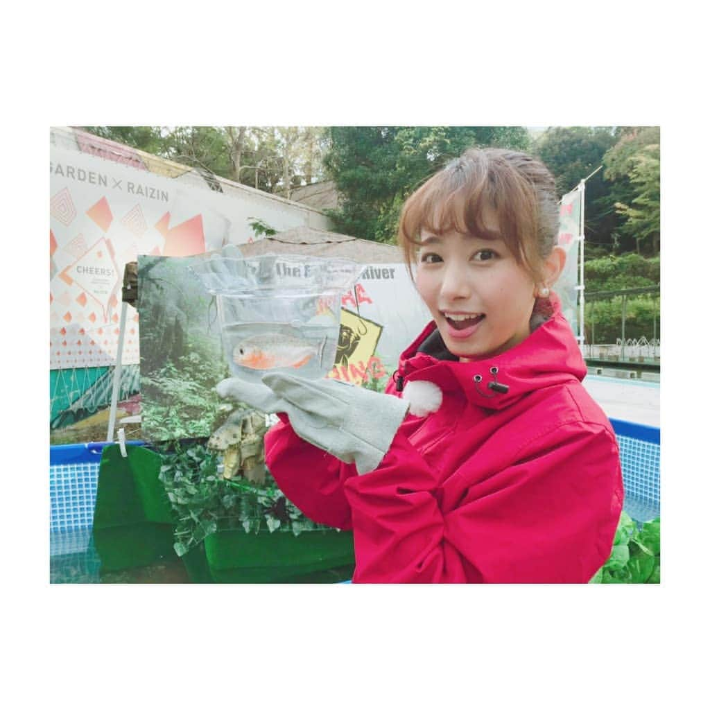 海老原優香さんのインスタグラム写真 - (海老原優香Instagram)「ピラニアを釣ってきました‼️ 狂暴だと思っていた#ピラニア 取材をしているうちに、最後は愛着がわいてしまいました笑 ・ #ピラニア釣り この#３連休 期間限定で開催するみたいです！  明日からの３連休も素敵にお過ごしください☺️」11月22日 22時00分 - ebioffi