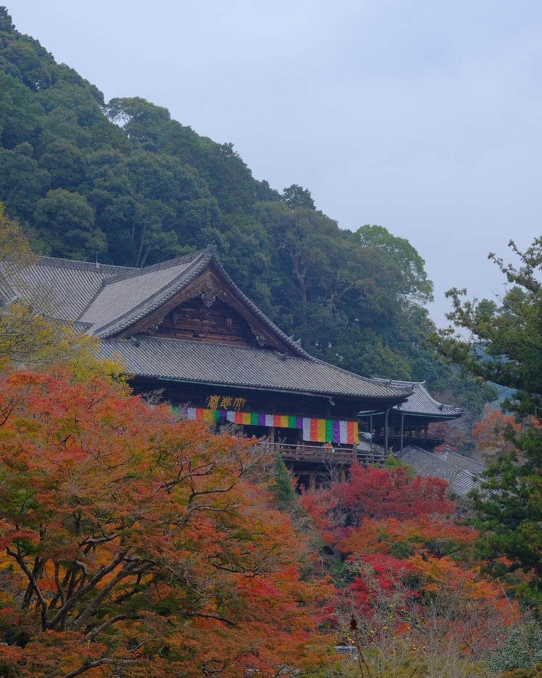 奈良 長谷寺 / nara hasederaのインスタグラム