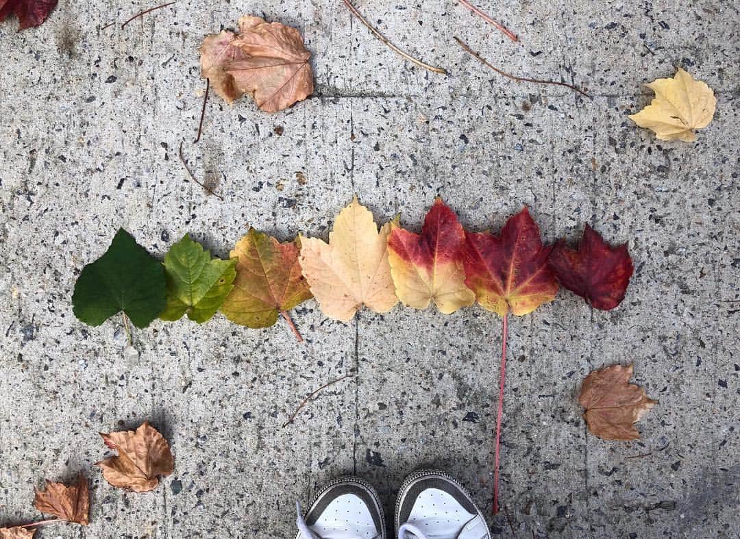 ソン・ハユンのインスタグラム：「가을이 보여준.. #가을」