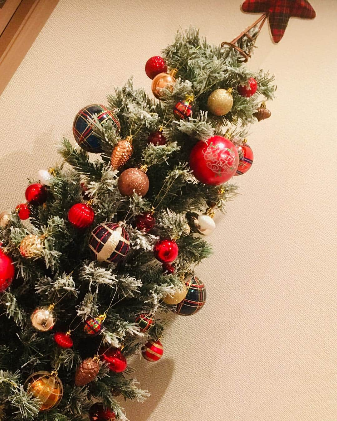 佐藤仁美さんのインスタグラム写真 - (佐藤仁美Instagram)「ニトリのクリスマスツリー。家にツリーを飾る日がくるとは。。。。誰か遊びに来ないかなー。 #クリスマス #ツリー #1人で黙々と組み立てたよ #は？」11月22日 15時15分 - sato.hitomi.19791010