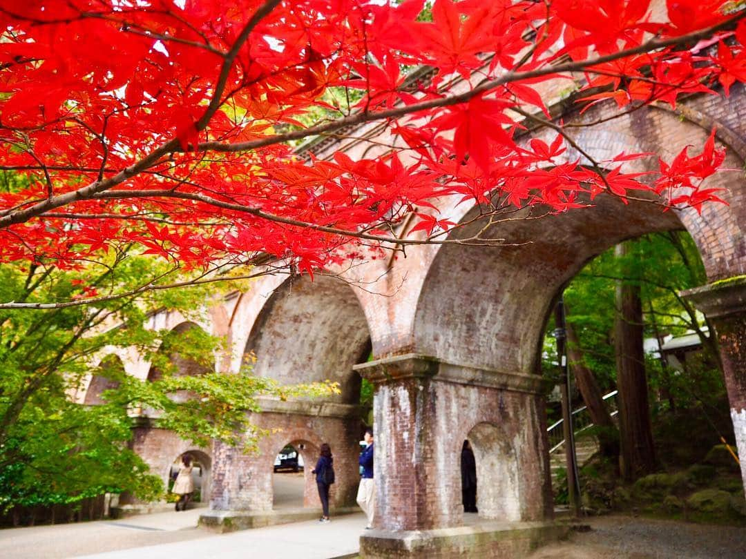 大寺かおりさんのインスタグラム写真 - (大寺かおりInstagram)「#京都の紅葉 🍁 #燃えるような紅葉  先週行った南禅寺の紅葉。 水路閣の紅葉はまだ少し早かったけど、 木によってはとてもキレイに紅葉していました。 . この時期に行けて良かったです☺️ . . . #20181114 #京都 #紅葉 #京都の紅葉 #南禅寺 #南禅寺水路閣 #南禅寺の紅葉 #もみじ #そうだ京都行こう #秋 #お寺 #写真 #写真好き #ファインダー越しの私の世界 #写真が趣味 #フォトジェニック #紅葉狩り #京都紅葉 #photo #photography #photogenic #kyoto #happy #instagood #instapic #japantrip #japan #camera #olympus」11月22日 17時53分 - kaori_ootera