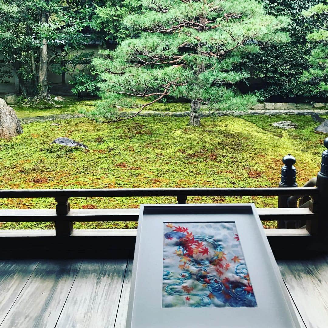 MEGUMIさんのインスタグラム写真 - (MEGUMIInstagram)「@yoshie.816 さんの京都でのイベントで @keitamaruyama さんと @sayumi7 さんとトークショーさせて頂きました。 イベント前に淑恵さんに京都のお寺をご案内頂きました。 想像を超えに超えた体験に思いがせず号泣してしまいました。 沢山の気付きとやるべき事が見事にクリアになりました。 フッとしたタイミングで不思議に決まった今回の京都。 こんなに人生観変わる旅になるとは😭淑恵さん本当にありがとうございました😭😭 #京都#即成院#泉湧寺#清水寺#MasterRecipe#やま岸#京都讃 #京都かさい#建準寺 #多様性#鍛錬#400年#応仁の乱#デザイン#建築」11月22日 20時10分 - megumi1818
