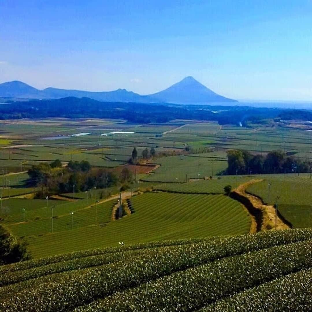 旅茶列島byポッカサッポロのインスタグラム