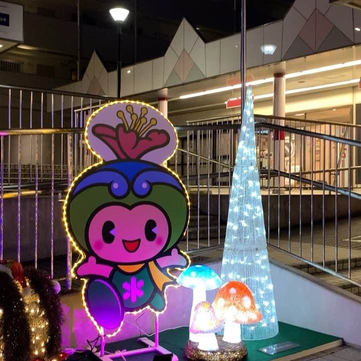 instameetuposakaのインスタグラム：「#jcomイルミ #金剛きらめきイルミネーション201 #金剛バル　 今週日曜スタート！」