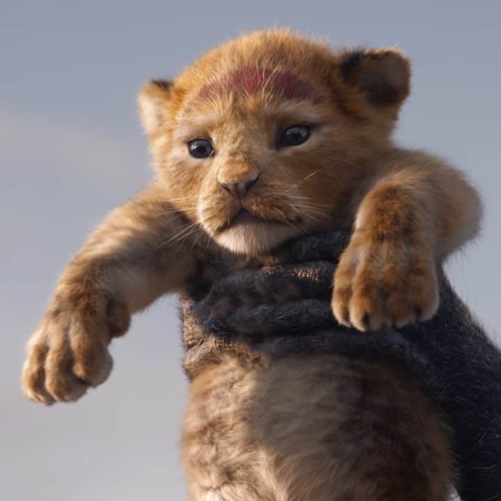 美女と野獣のインスタグラム：「July 19, 2019. #TheLionKing (Full trailer at link in bio)」