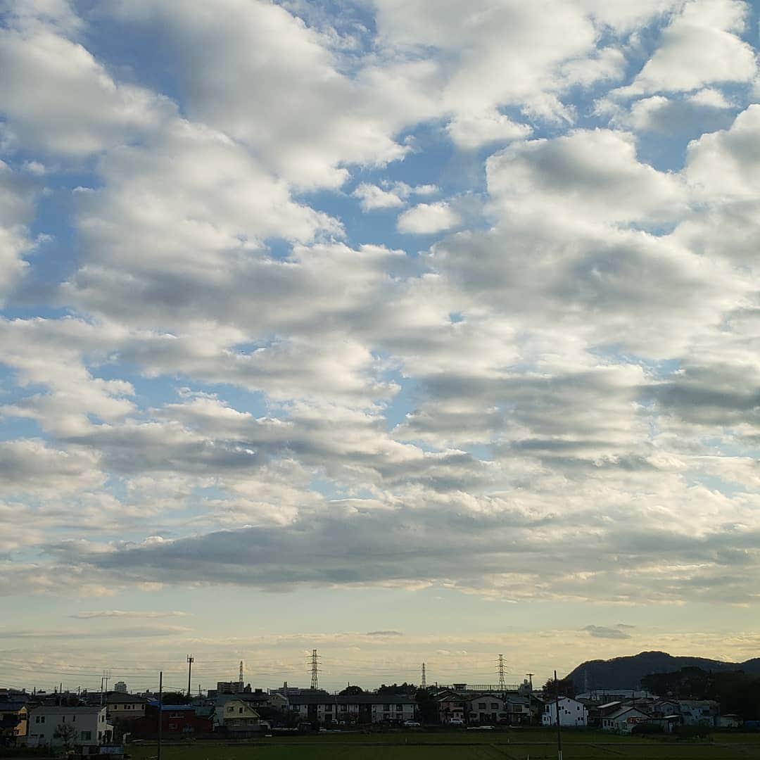 ピーターさんのインスタグラム写真 - (ピーターInstagram)「秋空❗ 明日は、名古屋でゴルフです‼️」11月23日 16時02分 - oziba1952