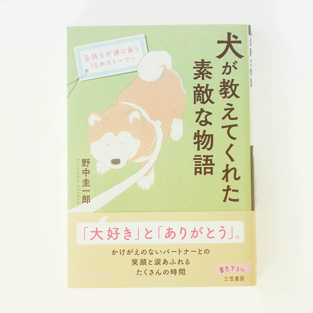 三笠書房のインスタグラム：「みなさま、こんにちは🌞 ・ 東京は晴れて穏やかな連休のスタートです。 ・ 今日、お休みのみなさまも、お仕事のみなさまも、年中無休のみなさまも、お疲れさまです😉 ・ さて、突然ですが、質問です！ ・ 犬派ですか？🐶 ・ 猫派ですか？🐱 ・ どっちも派ですか？ ・ 私はどちらかというと犬かなあ……。 ・ 今日、ご紹介するのは『犬が教えてくれた素敵な物語』野中圭一郎著です💕 ・ うちの実家で昔飼っていたイッヌは、ほんとうにおバカさんで飼い主の言うことを聞かないので、いじわるばっかりしてしまいました。 ・ でも、イッヌは、わたしのこと、いつでも好きでいてくれたんですよね……😌🌟 ・ なんだかそんなことを思い出して、しんみりしてしまいます。 ・ 本書では、ワンコたちとの大切な思い出をたくさん集めてあります。 ・ 犬好きさんも、いつもは猫派さんも、ぜひお手にとってみてくださいませ☺️ ・ #犬 #イヌスタグラム #イヌ #犬好きさんと繋がりたい #ペット #わんこ #わんこのいる生活 #ワンコ #わんことお出かけ #読書 #読書記録 #読書好きな人と繋がりたい #読書女子 #本 #本棚 #本好きな人と繋がりたい #本好き #本が好き #笑顔 #幸せ #感動 #ハッピー #わんことお出かけ #わんこ🐶 #わんこ部 #犬なしでは生きていけません会」