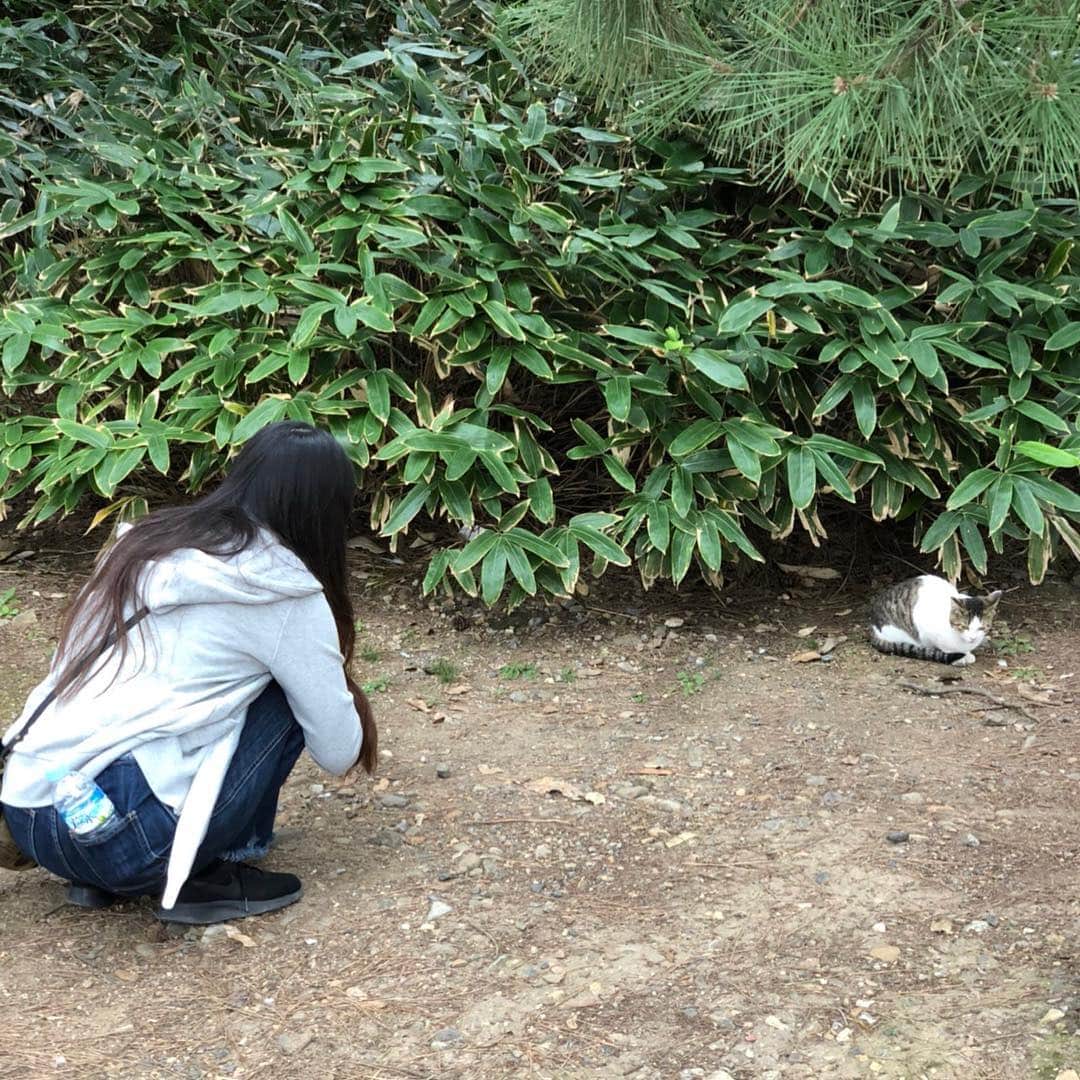 岩佐真悠子さんのインスタグラム写真 - (岩佐真悠子Instagram)「野良猫ちゃんとのかまいたいvsかまわれたくない戦い。これ楽しいんだよなー。 うざいんだろなー。 生きとし生けるもの、幸せでありますように…」11月24日 1時29分 - mayuko.iwasa